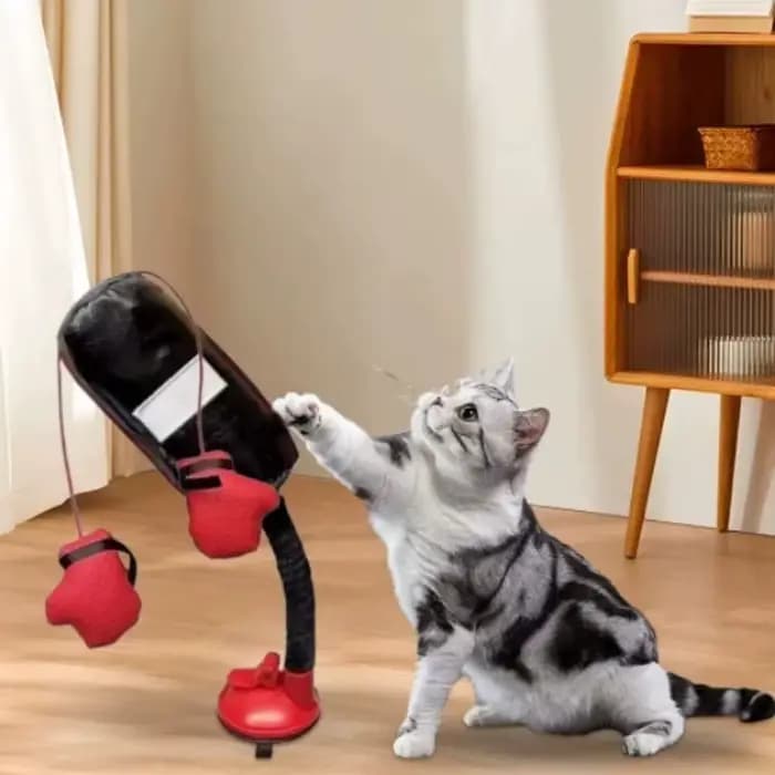 Jouet de sac de frappe pour chat de dessin animé avec gants de boxe et ventouse