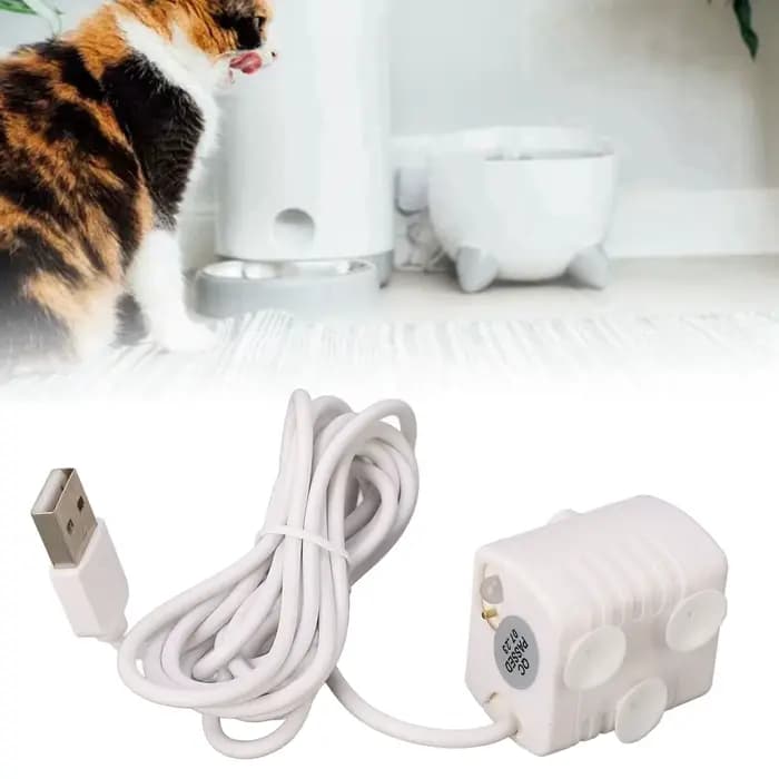 Fontaine pour chat, prévention de la combustion sèche