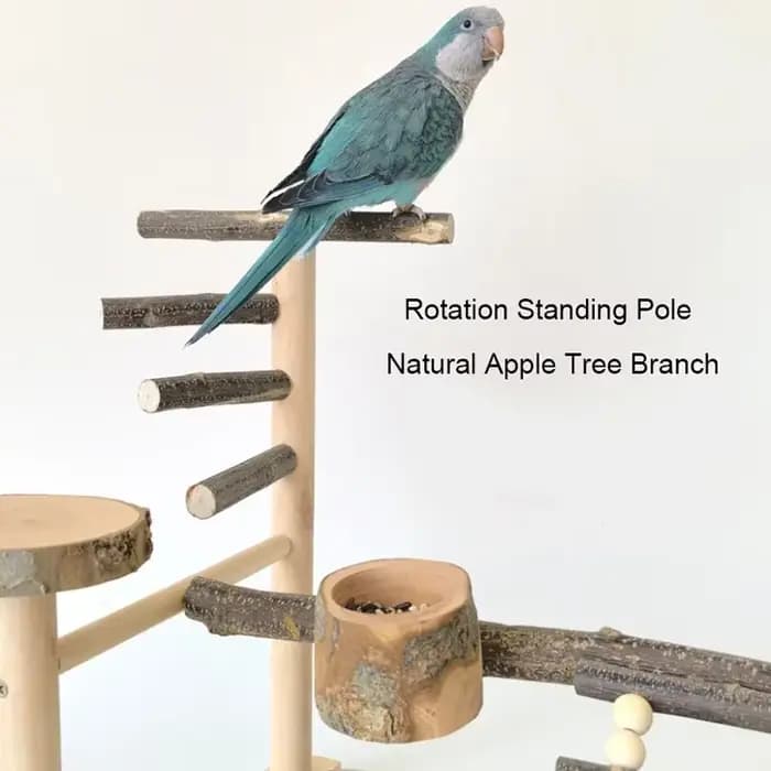 Jouet en bois naturel pour animal de compagnie