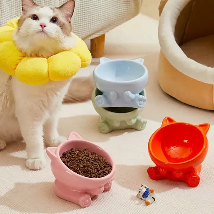 Bol en céramique créatif pour chat