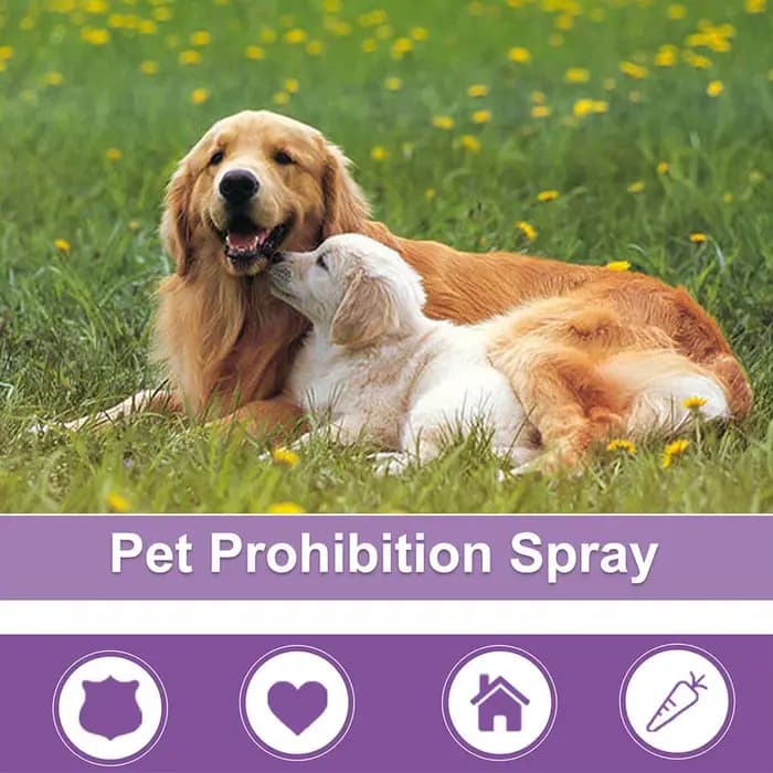 Spray apaisant pour animaux de compagnie, prévention du hurlement, vaporisateur anti-anlande, apaise l'humeur, chiens et chats, fournitures pour animaux de compagnie, 50ml