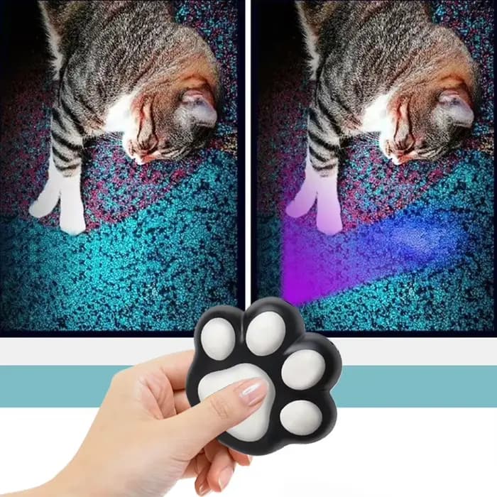 Fun laser PET Toy rechargeable 5 modèles réglables pour PET Dog Cat interactive kitten Training Chasing Cat accessoires pour animaux de compagnie