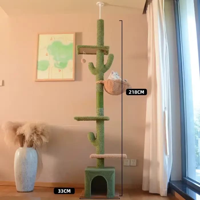 Arbre à chat Cactus d'hiver