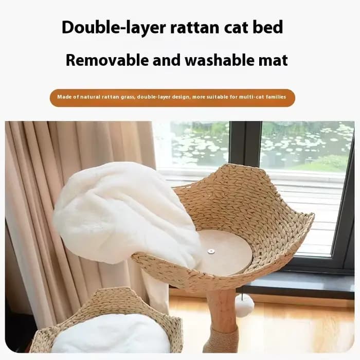Arbre à chat de luxe en bois naturel avec trou d'arbre