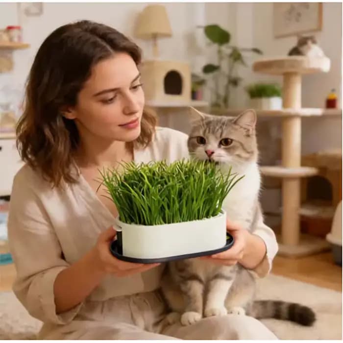 Boîte à herbe pour chat