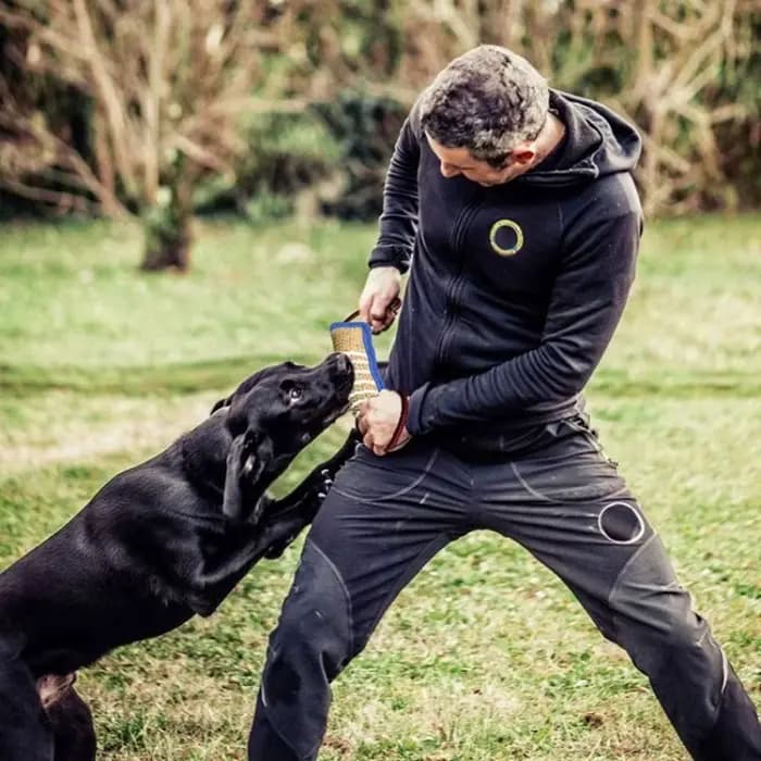Jouet de traction pour chien en jute