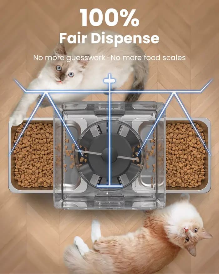 Distributeur automatique de croquettes pour chat