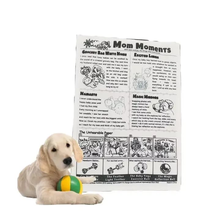 Jouets pour chiens en papier résistant aux morsures