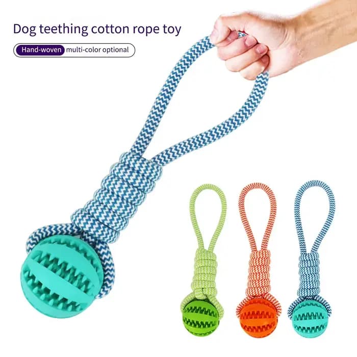 Boule de nettoyage des dents d'animaux domestiques