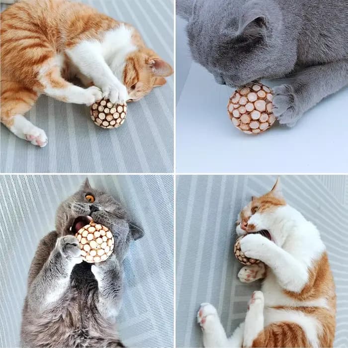 Nouvel ensemble de jouets à mâcher pour chats : boule et bâton de Silvervine – Nettoyage des dents
