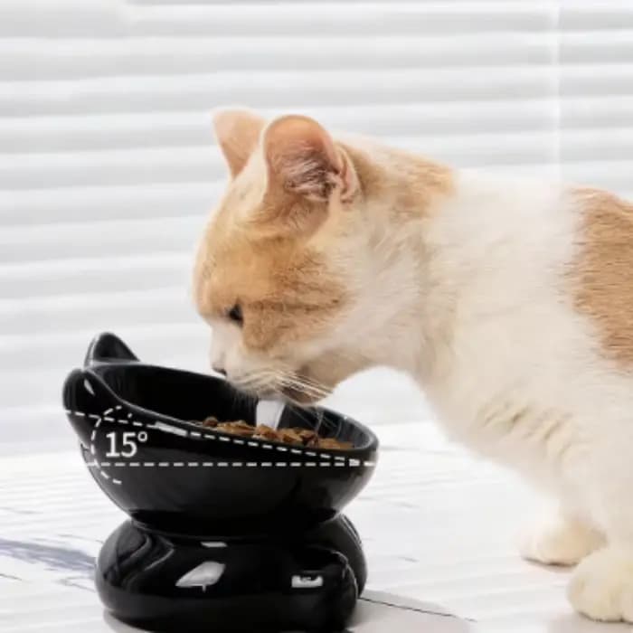 Bol en céramique mignon pour chat avec pieds surélevés