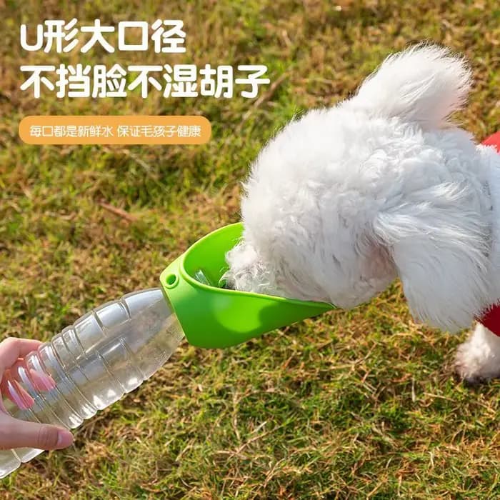 Bol à eau pour chien et chat