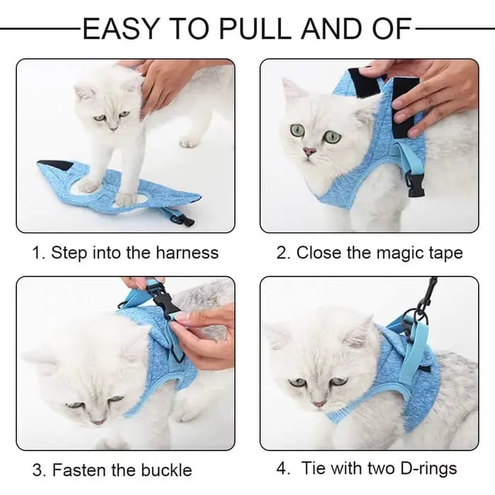 Harnais réglable pour chat avec laisse