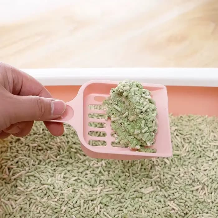 Nouvelle pelle à litière pour chat de haute qualité, design à poignée horizontale, durable, pour le nettoyage de la litière du chat
