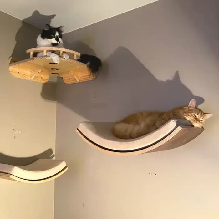 Tour d'arbre à chat en bois