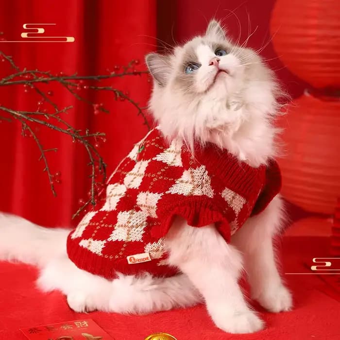 Vêtements pour chat chaton vêtements d'hiver automne gilet pour animaux de compagnie hiver chien chaud rouge pull de noël
