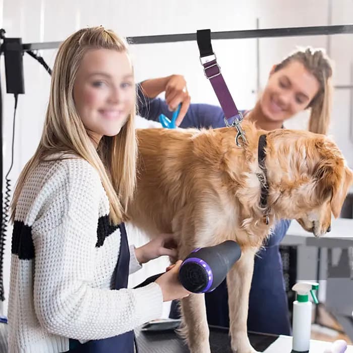 2 pièces accessoires de bras de laisses de base de toilettage de chien de compagnie, sangles d'extension de boucles d'animaux réglables pour la coupe de toilettage de bain