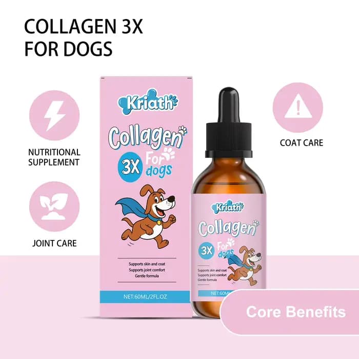 Gouttes de collagène pour animaux de compagnie : Maintien efficace de la santé du cartilage