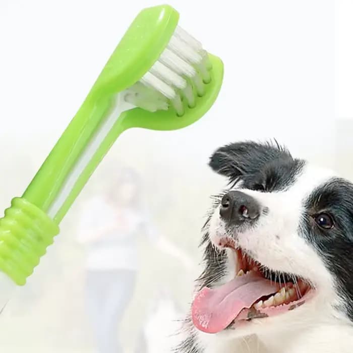 Brosse à dents de nettoyage pour animaux de compagnie