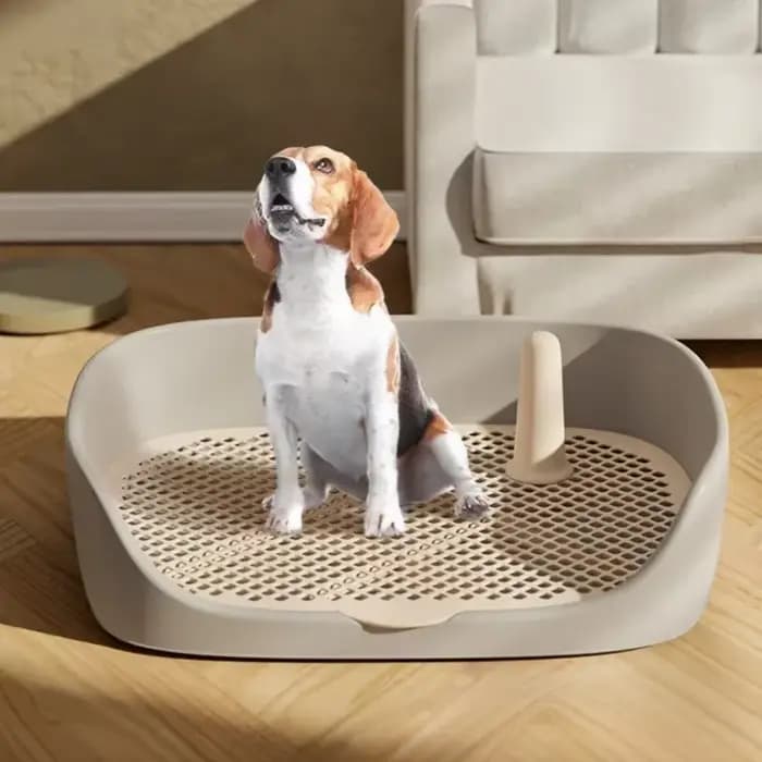 Toilette d'apprentissage pour animaux de compagnie grande taille
