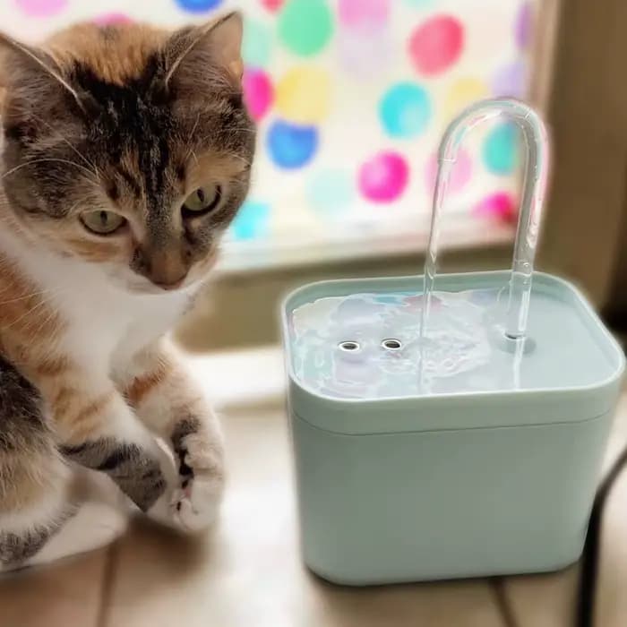 Fontaine d'eau électrique USB pour chat
