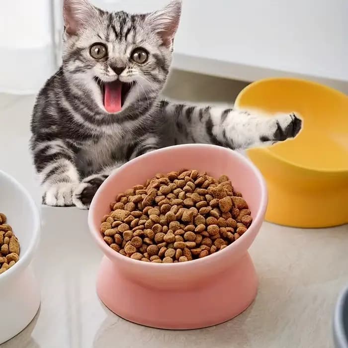 Ensemble de bols surélevés en céramique pour chat