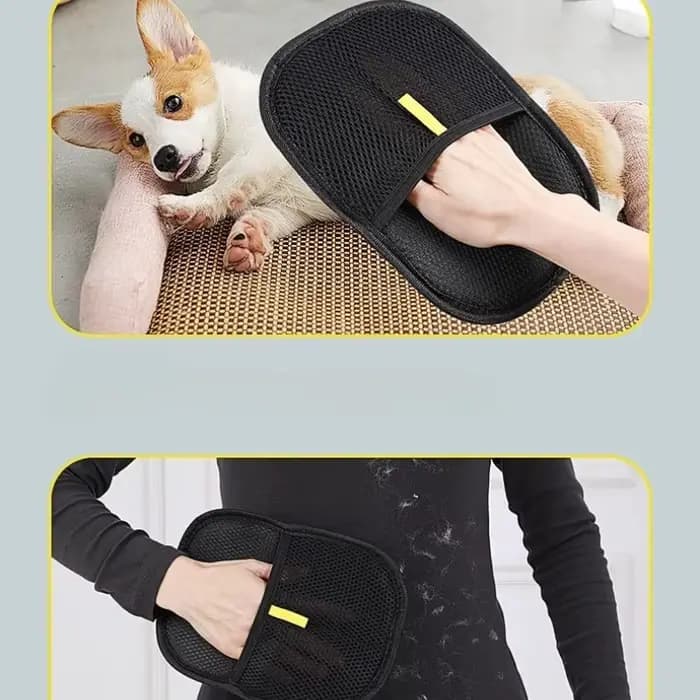Épilateur pour animaux de compagnie