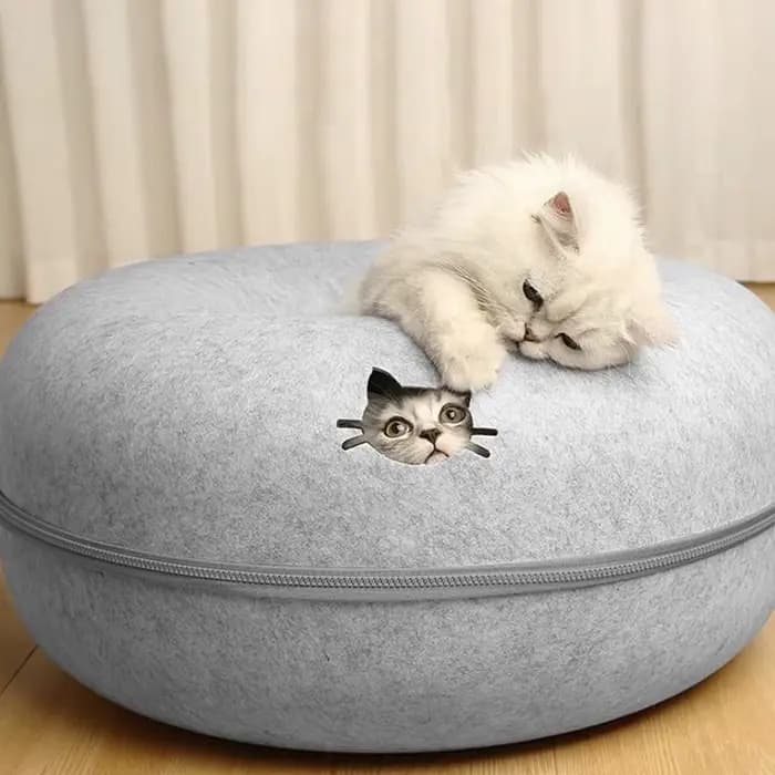 Nouveau tunnel interactif rond pour chat