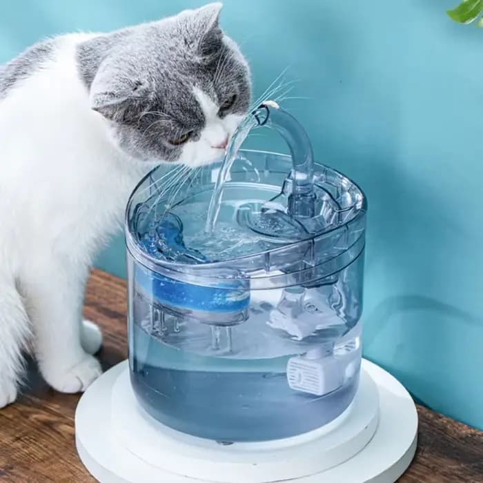 Fontaine d'eau intelligente pour chat