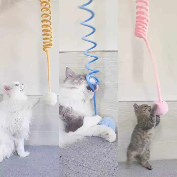 Corde élastique pour chat