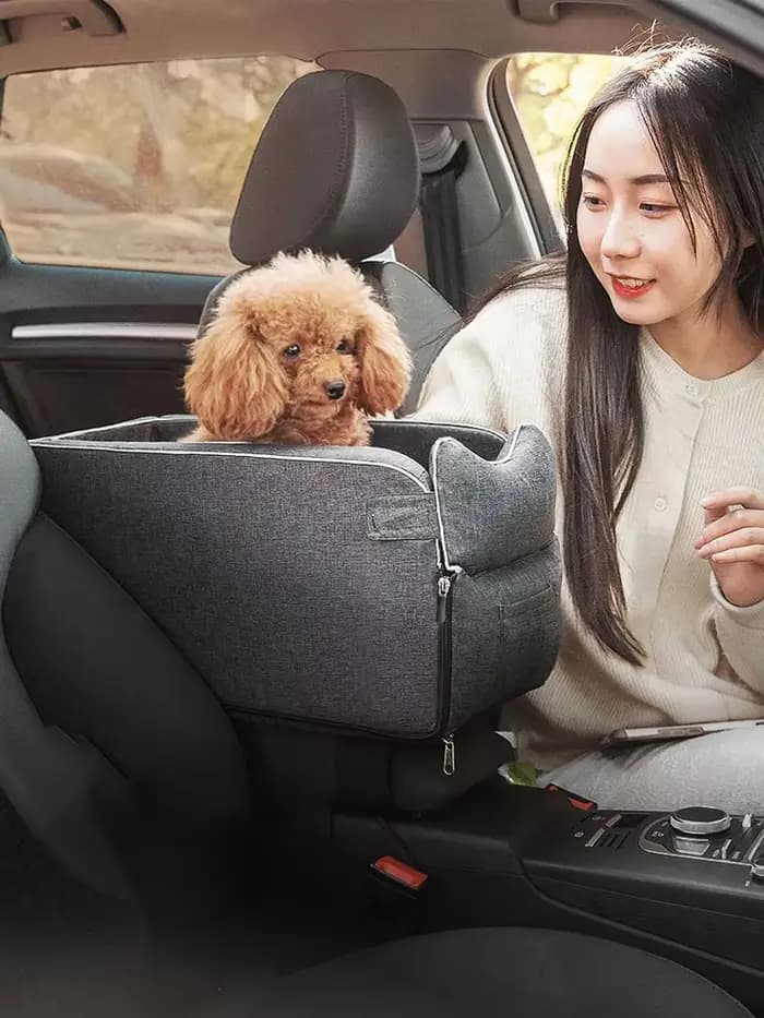 Maison chat accessoires Portable chien