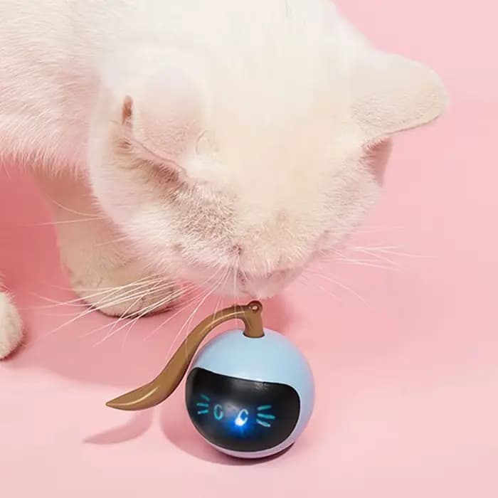 Jouet intelligent automatique pour chat