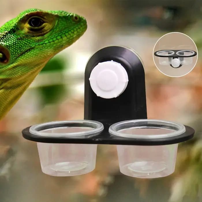 Distributeur de nourriture pour gecko avec 4 coupelles