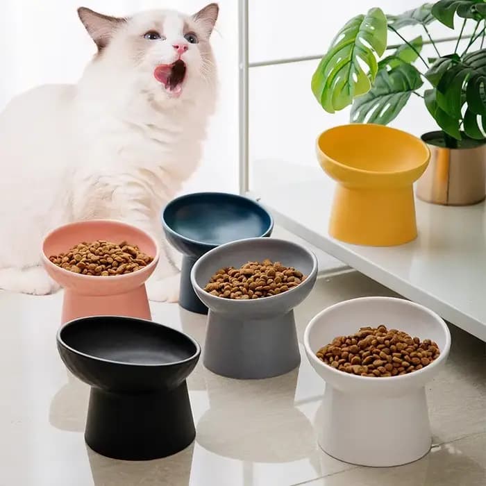 Bol d'eau alimentaire de Style nordique pour chat