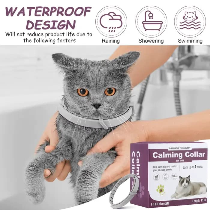 Collier apaisant pour chat