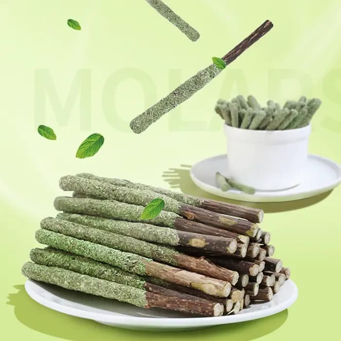 Bâtonnets d'herbe pour chat