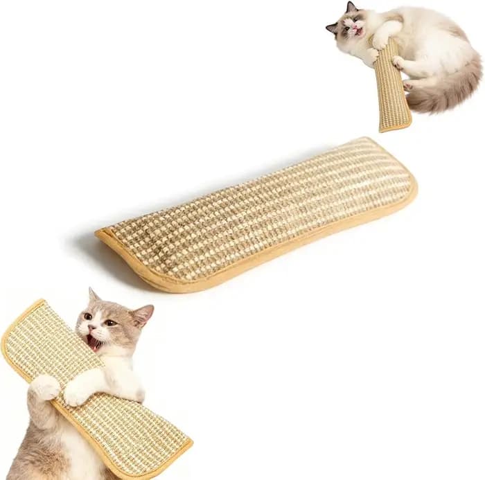 Jouet pour chat, jouet à mâcher interactif à la catnip