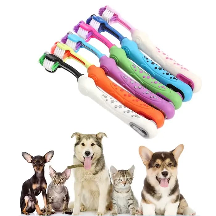 Chien chat brosse mauvaise haleine soins dentaires pour animaux de compagnie
