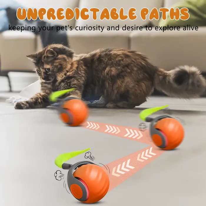 Jouet pour chat NewSpeedy Tail 2.0