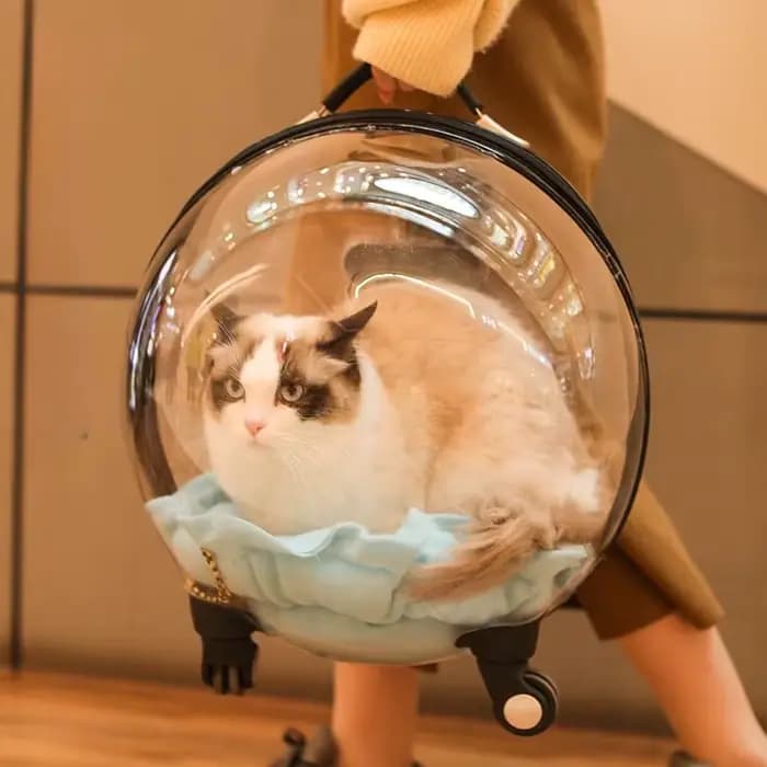 Sac de voyage portable pour chat