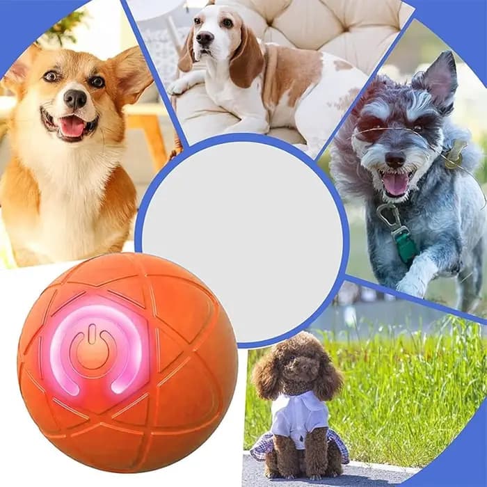 Balle roulante automatique pour chien