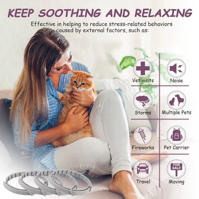 Collier apaisant pour chat