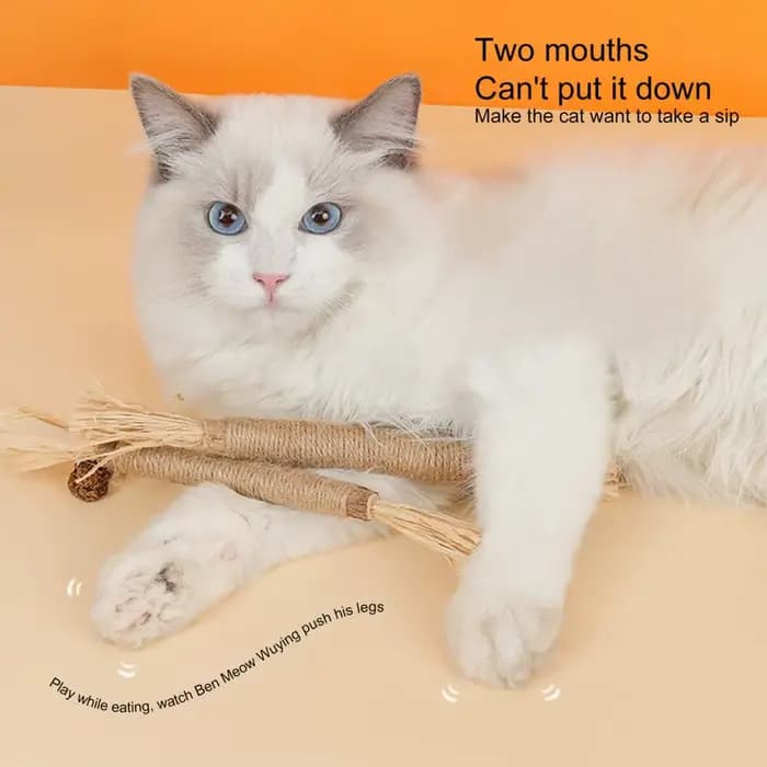 Jouets pour chats, Matatabi naturel