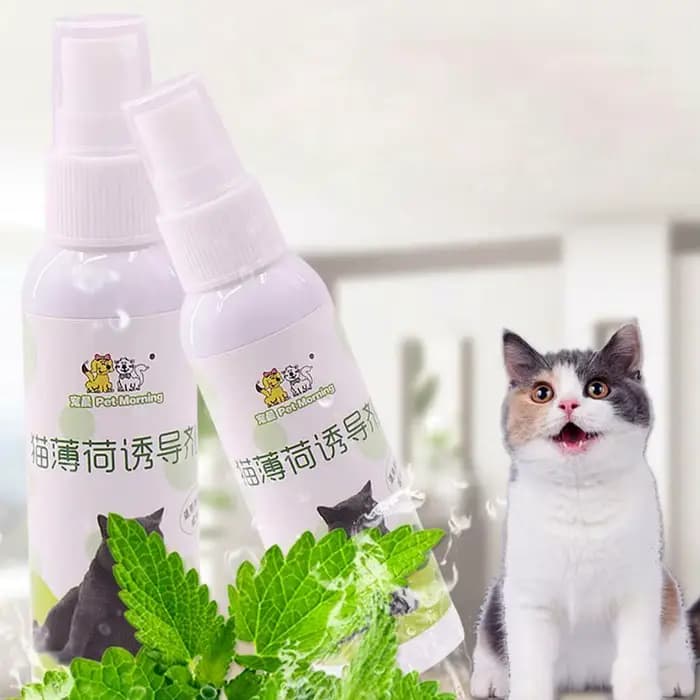 Spray d'herbe à chat pour chat, naturel, sain, sûr, effet à long terme, chatons, attractif, entraînement pour animaux de compagnie, fournitures pour animaux de compagnie, 50ml