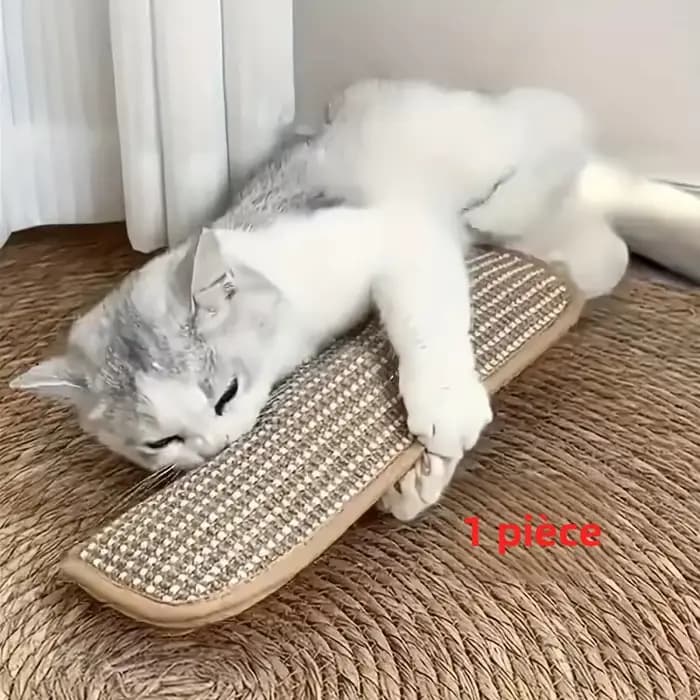 Coussin de jeu et griffoir pour chat pour le jeu individuel et l'interaction intime, pour garder votre ami félin heureux et apaisé