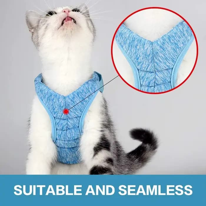 Harnais réglable pour chat avec laisse