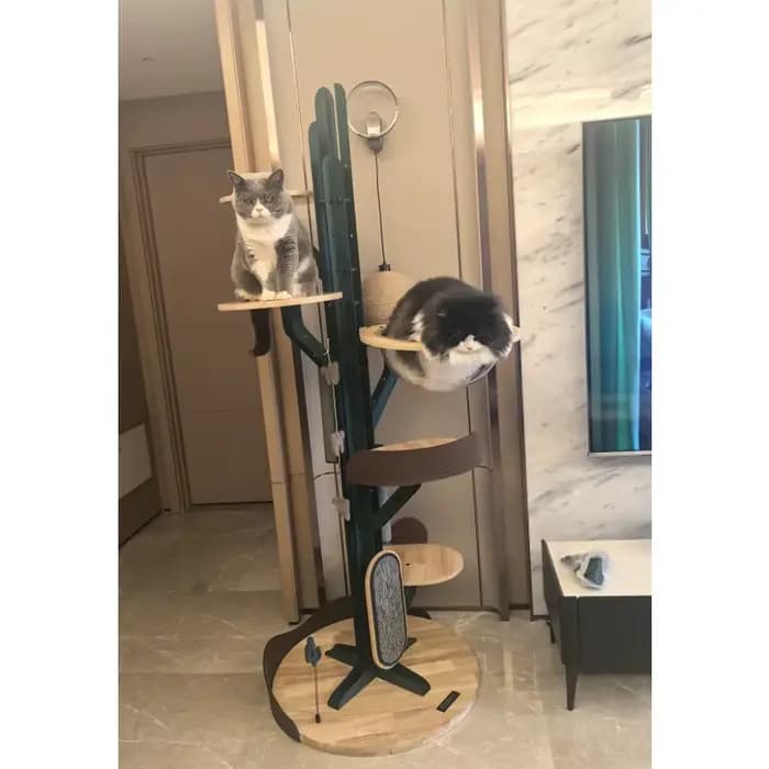 Arbre à chat en forme de cactus