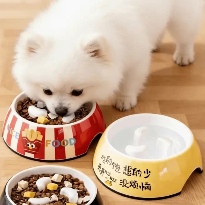 Bol à nourriture lente pour animaux de compagnie de grand calibre