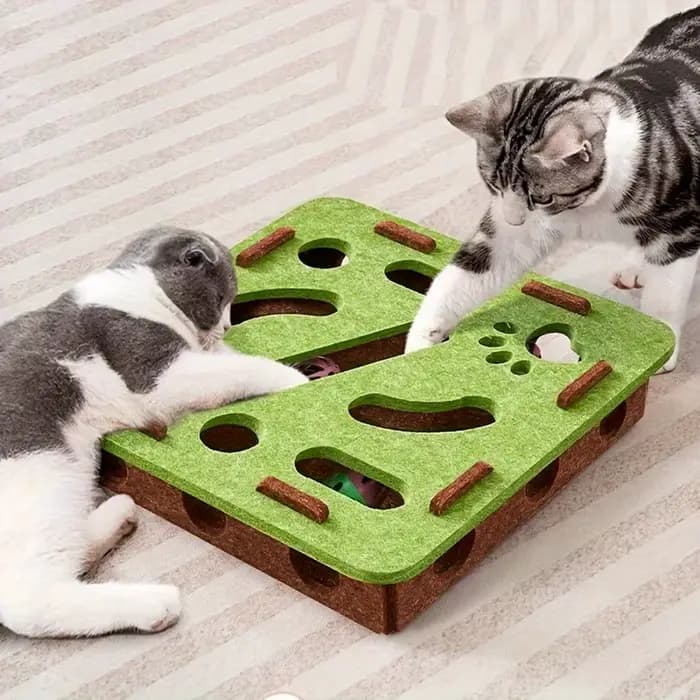 Buster d'auto-entretien pour chat : boîte de labyrinthe interactive avec planche à gratter