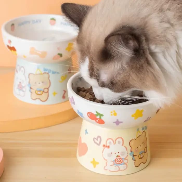 Bol en céramique pour animaux de compagnie